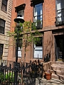 Brooklyn Heights Spring 2011 - 17-04-2011 12-41-38