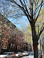 Brooklyn Heights Spring 2011 - 17-04-2011 12-41-58