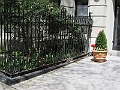 Brooklyn Heights Spring 2011 - 17-04-2011 12-42-12