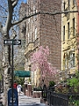 Brooklyn Heights Spring 2011 - 17-04-2011 12-43-16