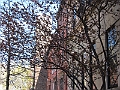 Brooklyn Heights Spring 2011 - 17-04-2011 12-43-47