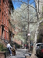 Brooklyn Heights Spring 2011 - 17-04-2011 12-45-25