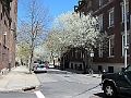 Brooklyn Heights Spring 2011 - 17-04-2011 12-53-54