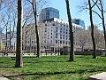 Brooklyn Heights Spring 2011 - 17-04-2011 13-12-24