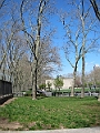 Brooklyn Heights Spring 2011 - 17-04-2011 13-13-18