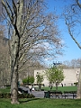 Brooklyn Heights Spring 2011 - 17-04-2011 13-13-29