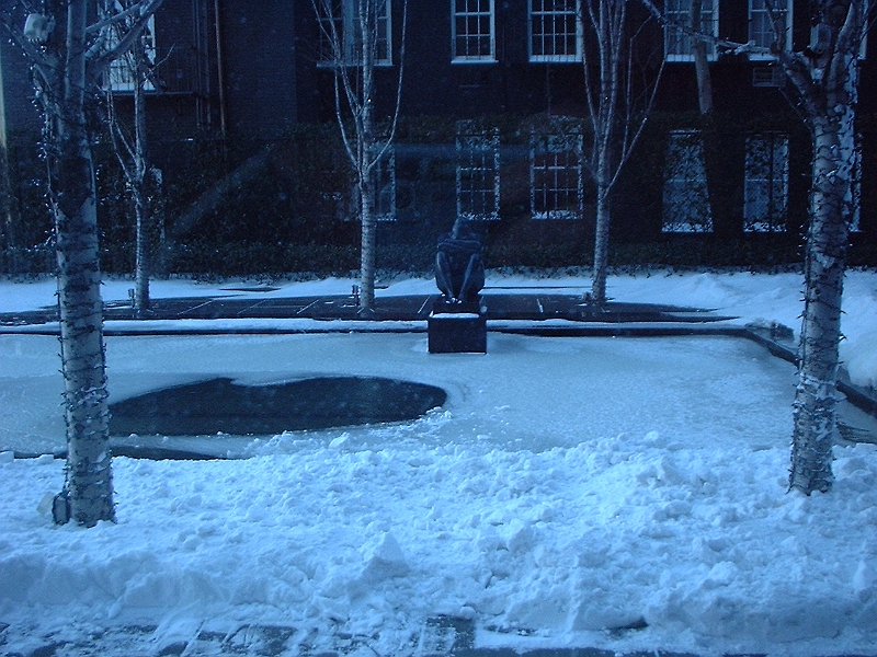 Courtyard blue pond.JPG