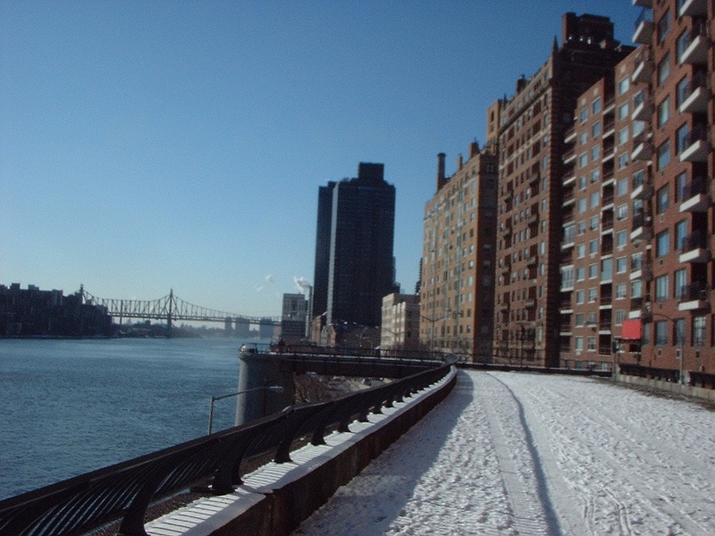 Gracie Park FDR roofdeck.JPG